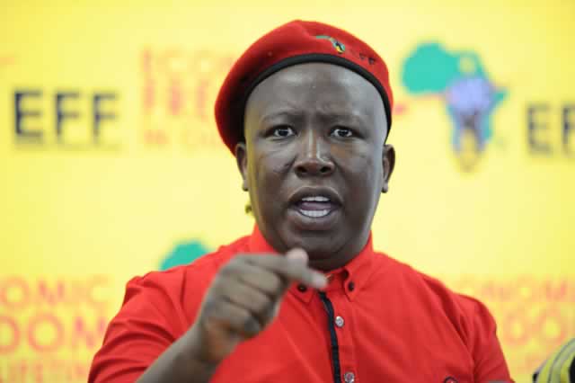 Julius-Malema Julius-Malema