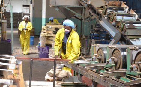 manufacturing