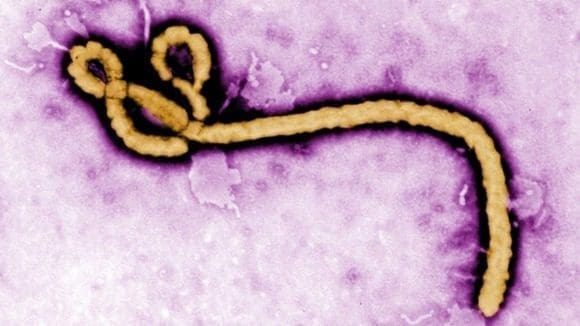 Ebola Ebola