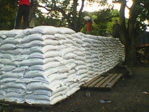 Bags of cocoa