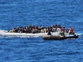 migrants