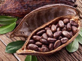 cocoa