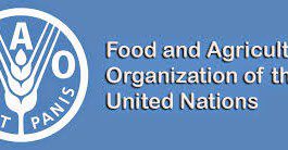 Food and Agriculture Organization