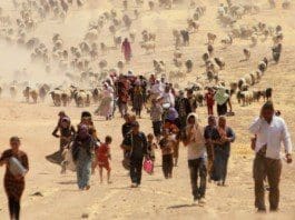 Migration