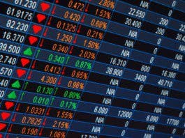 stock market
