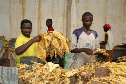 tobacco stocks 2020 Tobacco Stocks: The New 