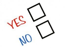 referendum vote
