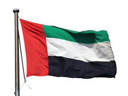 UAE Flag