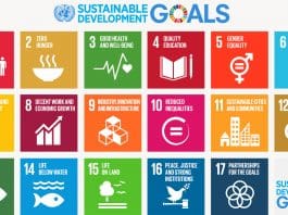 UN Sustainable Development Goals (SDGs)
