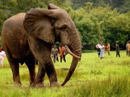 tourism in Ghana