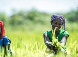 Female Farmers