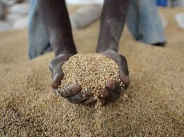african grains