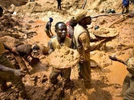 Illegal Miners