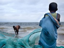 fishing nets