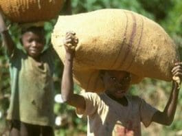 child labour