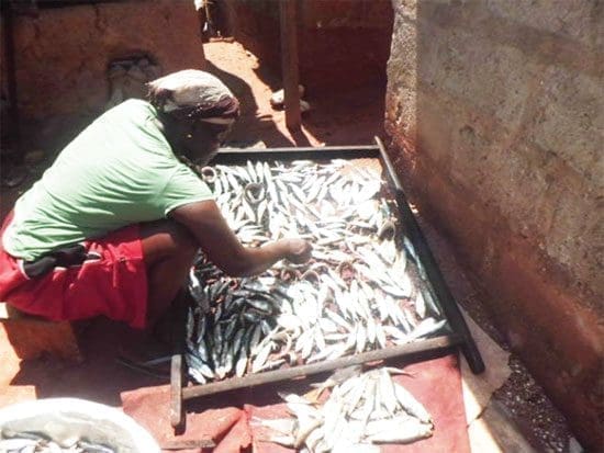 fishmongers1 fishmonger