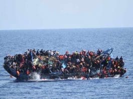 illegal immigrants