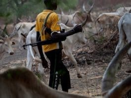 herdsmen-fulani