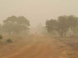 Harmattan