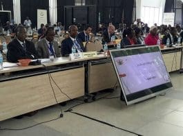 African Court Judges
