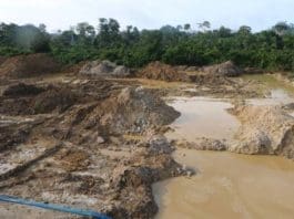 Arrest Galamsey