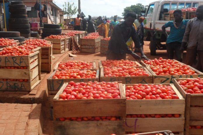 Tomatoes