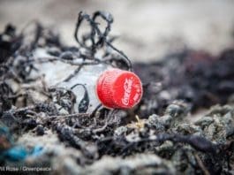 plastic pollution
