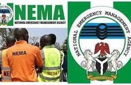 NEMA