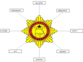 Ghana National Fire Service (GNFS)