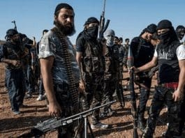 terrorist groups