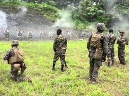 Cameroon army