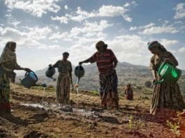 Climate Action In Africa
