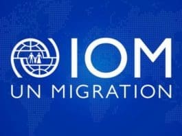 Iom Logo Standin