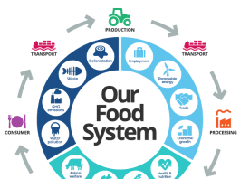 food systems