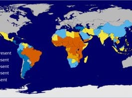 neglected tropical diseases