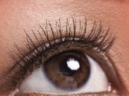 eye