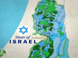 Israeli-occupied Palestinian