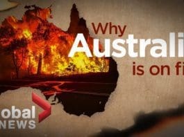 Bushfire