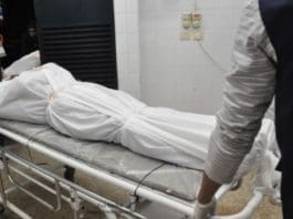 Dead Bodies