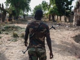 About Killed In Attacks By Gunmen In Nw Nigeria
