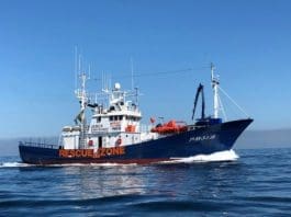 Malta Calls For Eu Solidarity As It Rescues Migrants