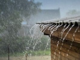 rainfall