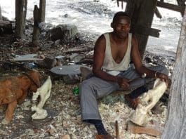 Wood Carver