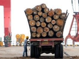 Timber