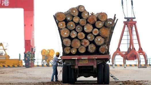 Timber Timber