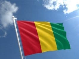 Guinea Flag