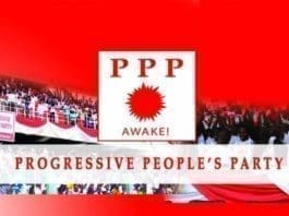 Ppp Digital Banner