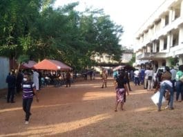 Special Voting In Ho
