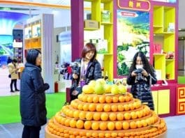 A visitor is in talks for purchase of navel oranges from southern Jiangxi at the Ganzhou booth of the 13th China Green Food Expo at the Nanchang Greenland International Expo Center in Nanchang, capital of east China’s Jiangxi province, Dec. 18. (Photo by Zhu Haipeng/People’s Daily Online)