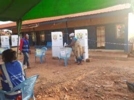 Voting